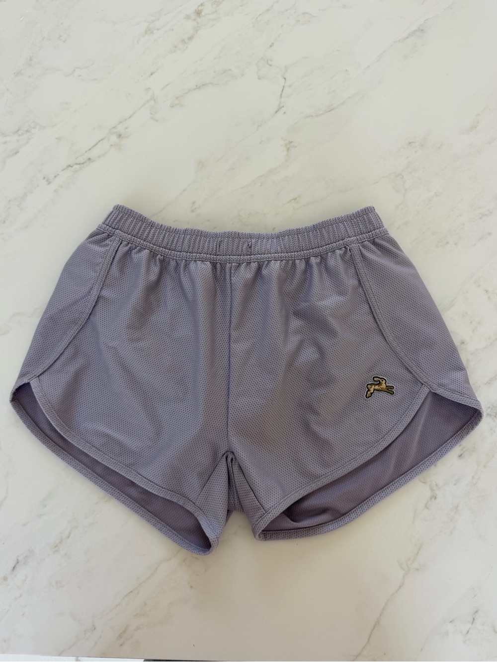 Tracksmith Van Cortlandt Shorts